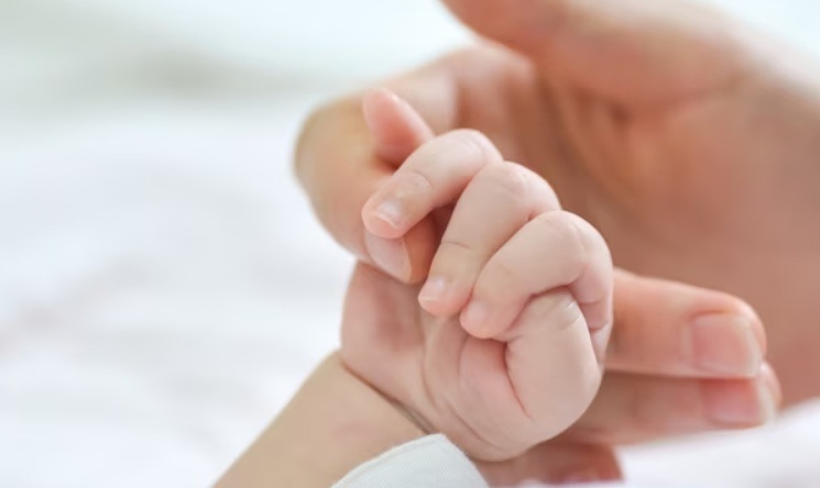    Фото: ru.freepik.com Александра Горохова