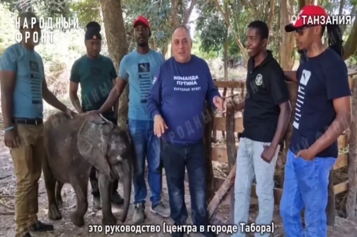    Первый в России центр реабилитации дикой фауны могут открыть на Южном Урале