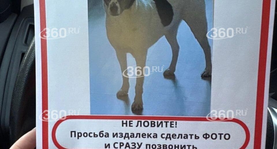    360.ru