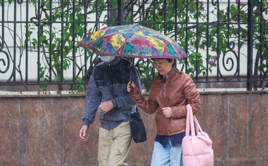    Наталья Шатохина/NEWS.ru