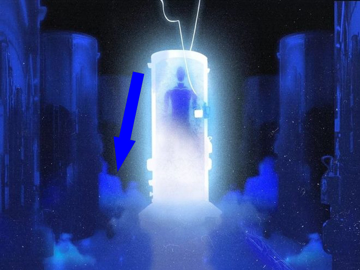    Бессмертие за 1 млн долларов КРИОНИКА или цифровой клон