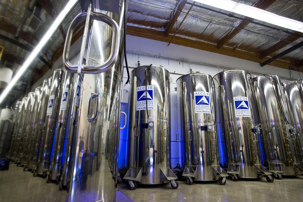    Бессмертие за 1 млн долларов КРИОНИКА или цифровой клон