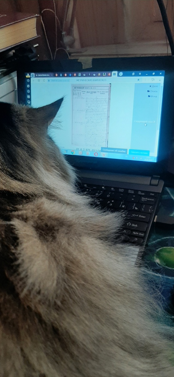 Масяня помогает читать метрические книги