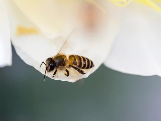    Фото: 123RF/lobster20