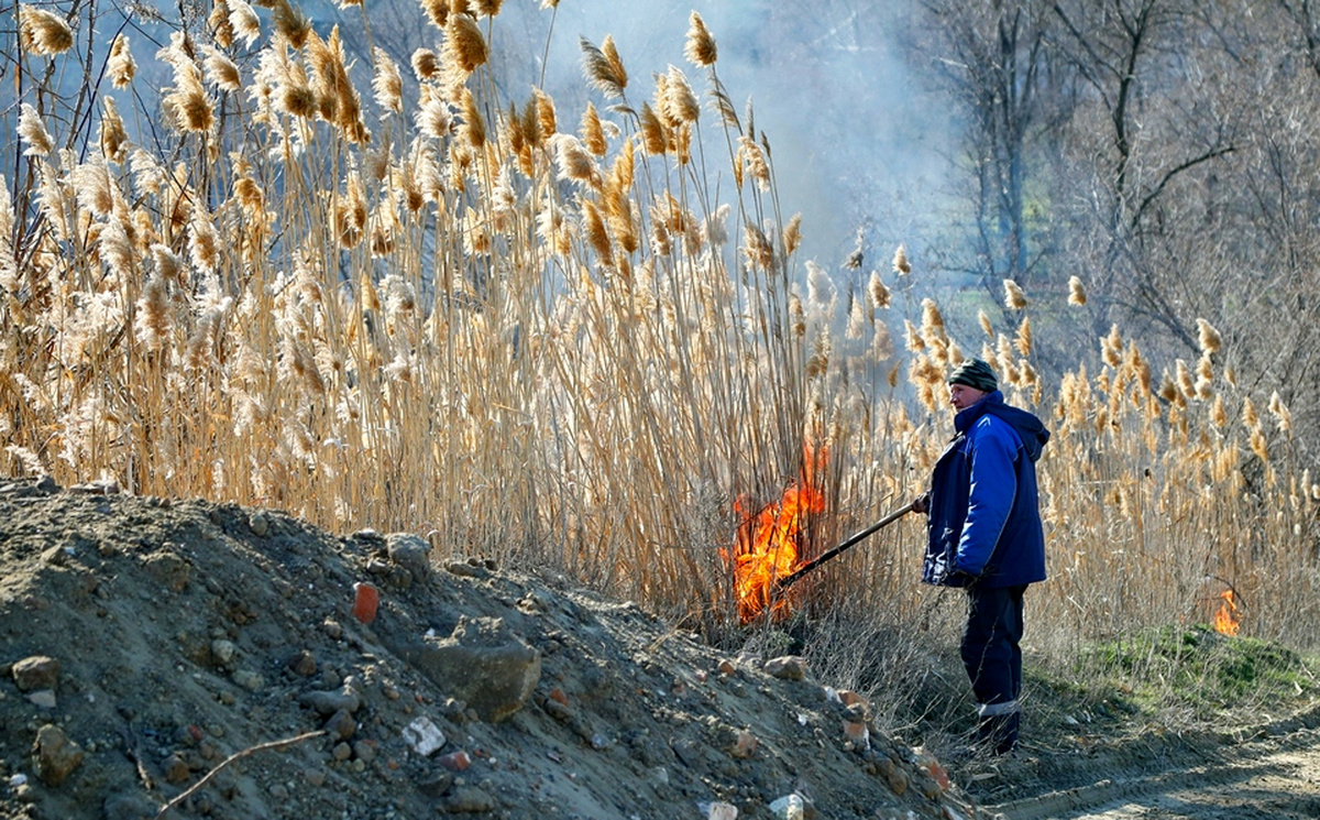 Штраф за подобное нарушение может быть внушительным — в некоторых регионах он достигает нескольких десятков тысяч рублей