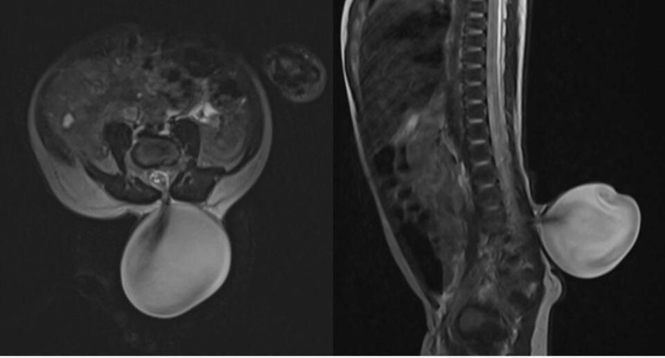    Пресс-служба Министерства здравоохранения Московской области