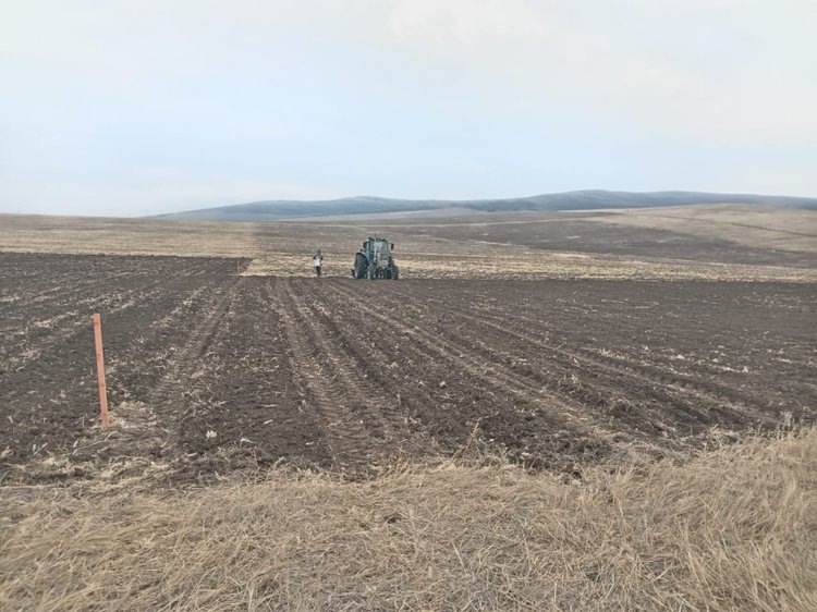   ​В Забайкальском крае стартовали полевые опыты для определения оптимальных сроков посева зерновых культур