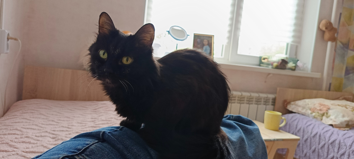 Легла прям в джинсах, девочка моя спала со мной