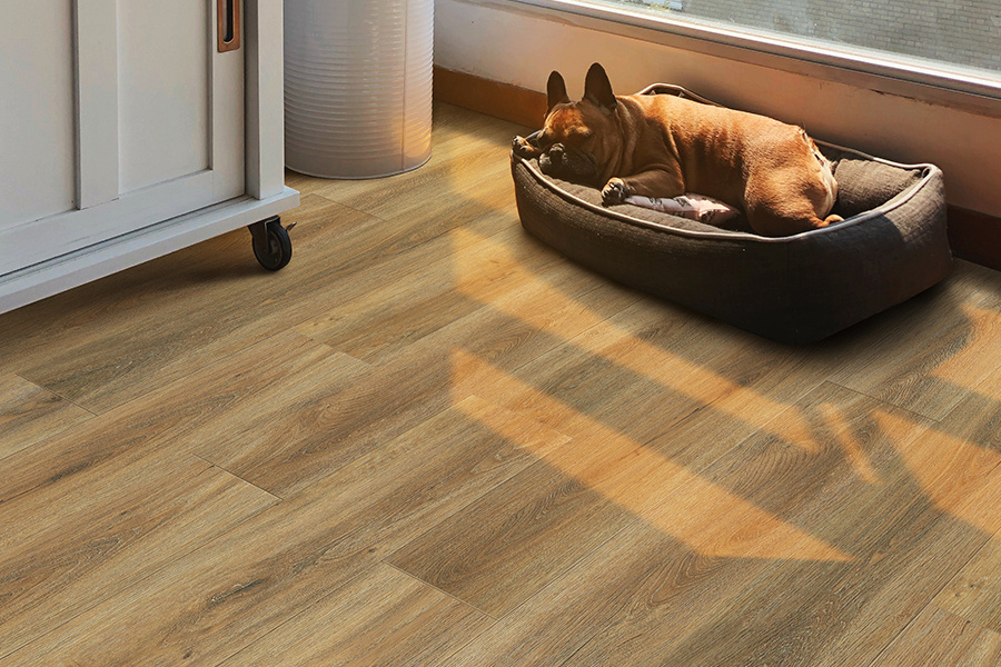 Ламинат минск