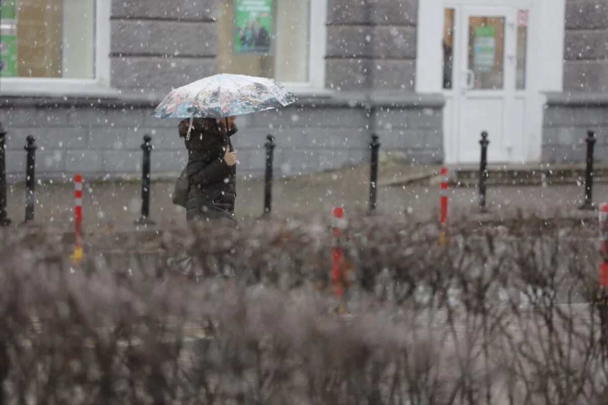    В Тверской области май начнётся с проливных дождей