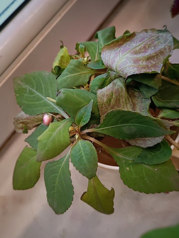 Конец октября 2024