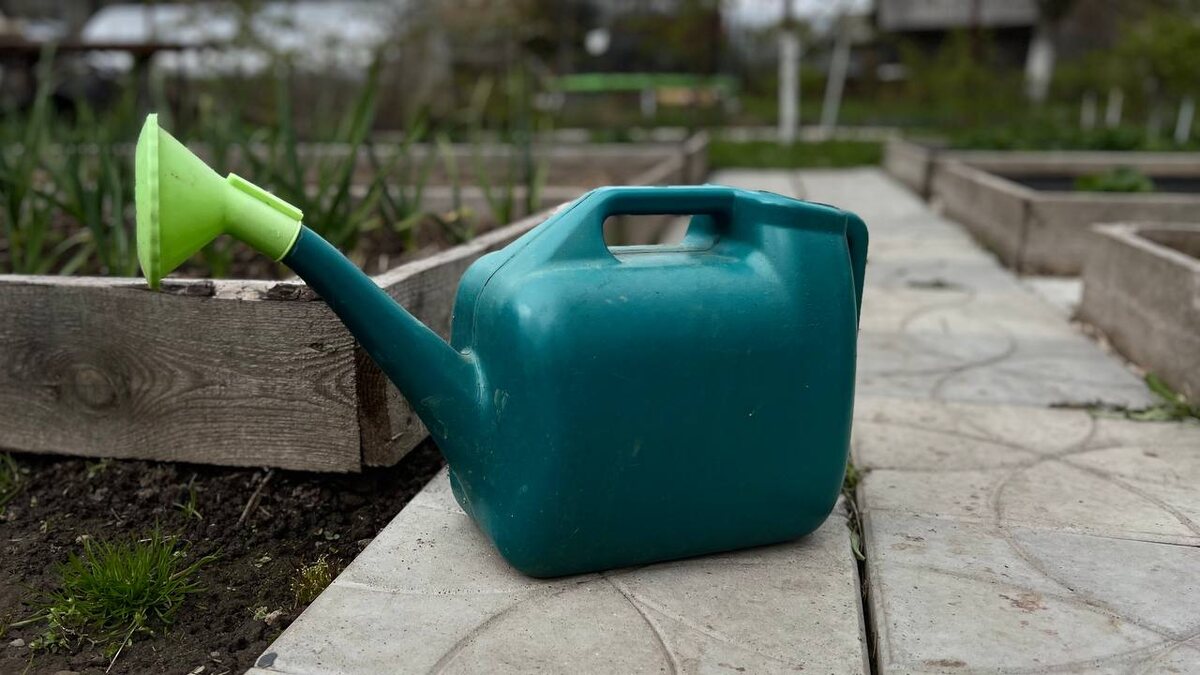 Проливаю теплой водой