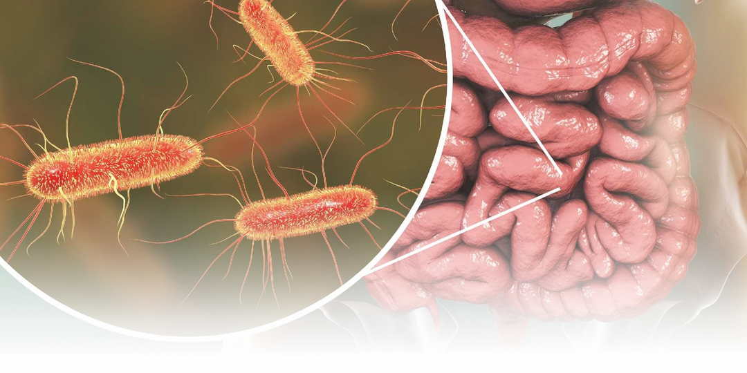 💉Инфекционисты призвали вакцинироваться от холеры при поездке в Индию