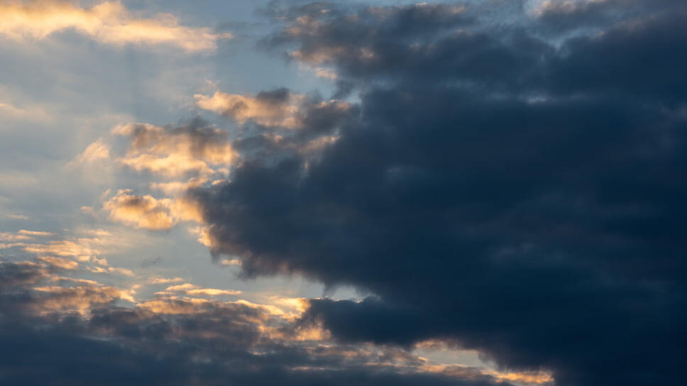 Фото: Игорь Елисеев / Коммерсантъ