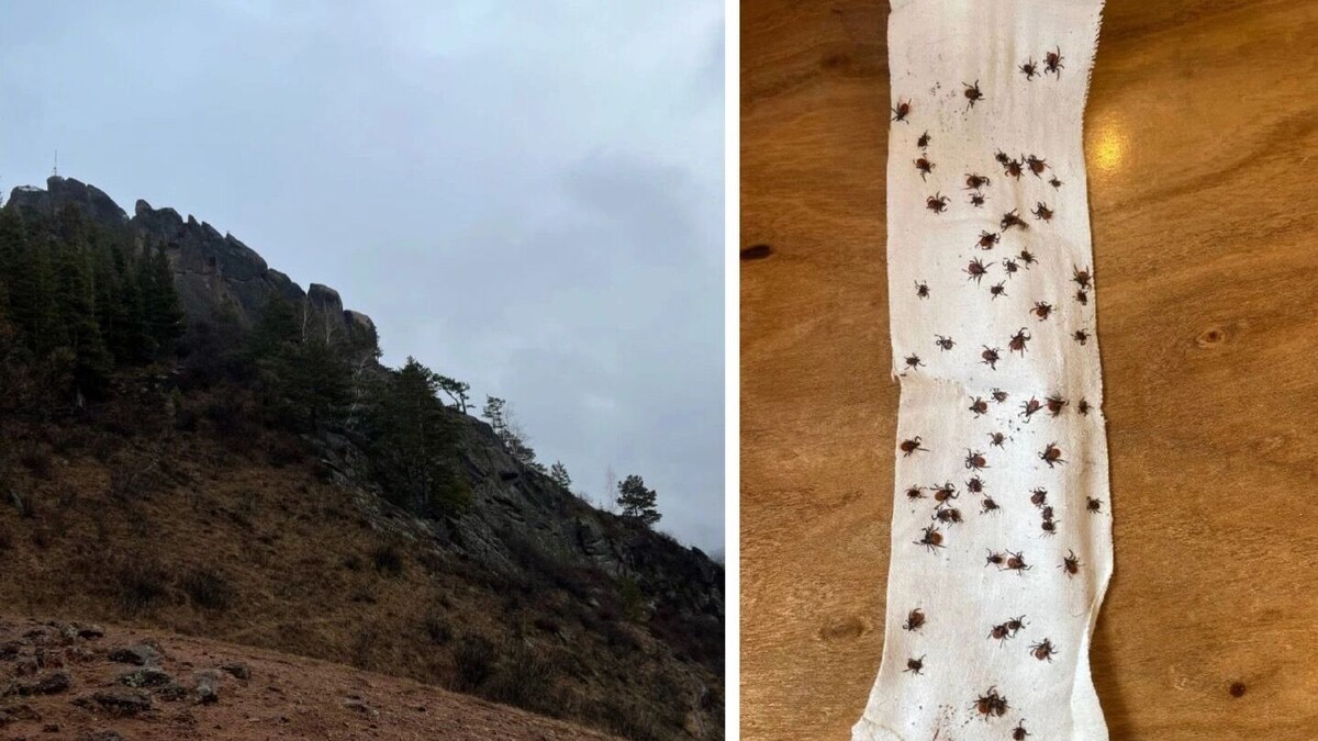     Источник: prmira.ru / t.me/baldebut