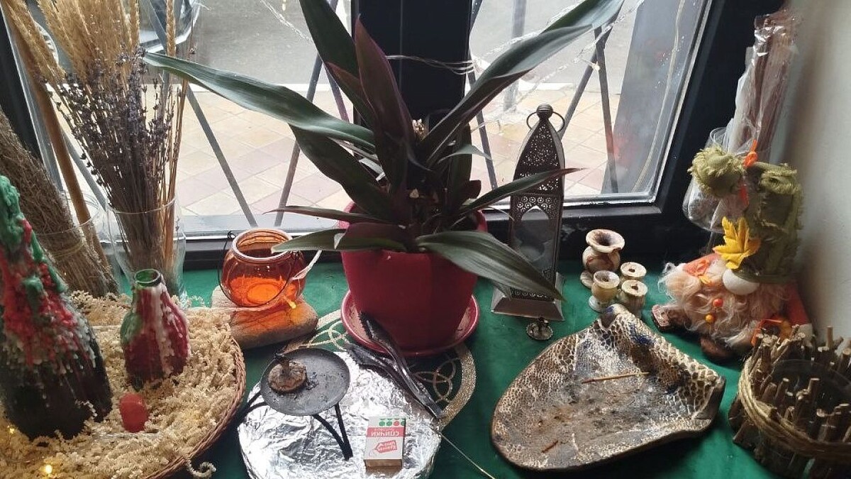    Фото: телеканал «Краснодар»