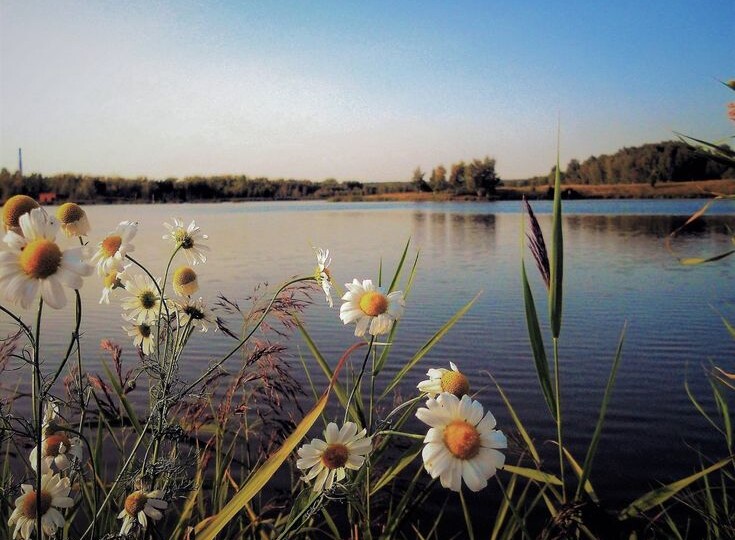 Вода что-то означает