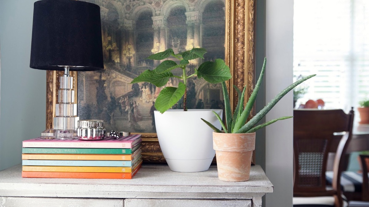 Алоэ - снижает депрессию и улучшает память.