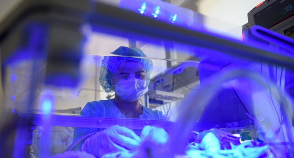    Медиасток.РФ (Медиаархив Подмосковья)