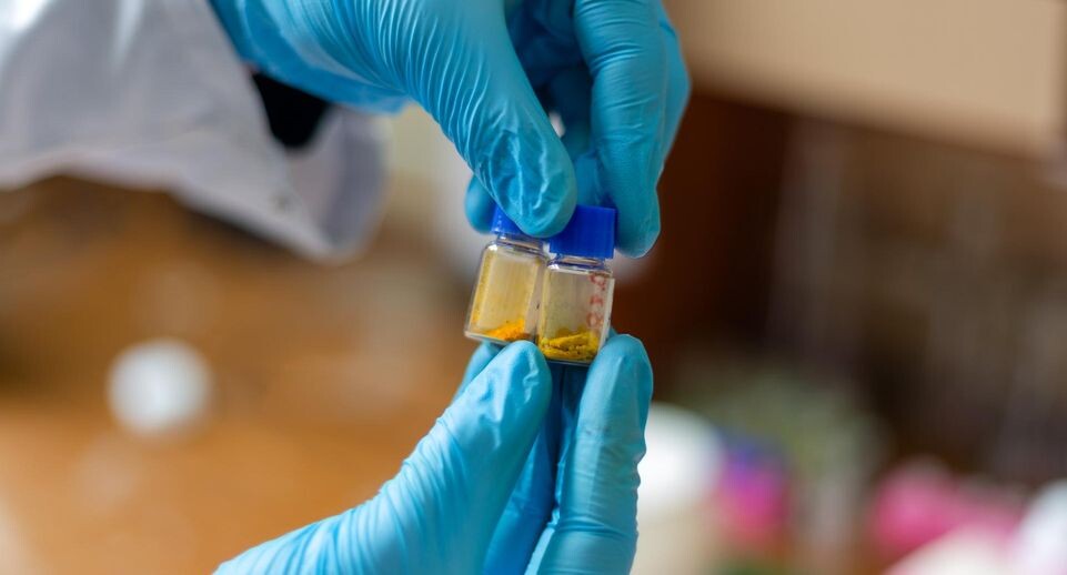    Предоставлено пресс-службой УрФУ