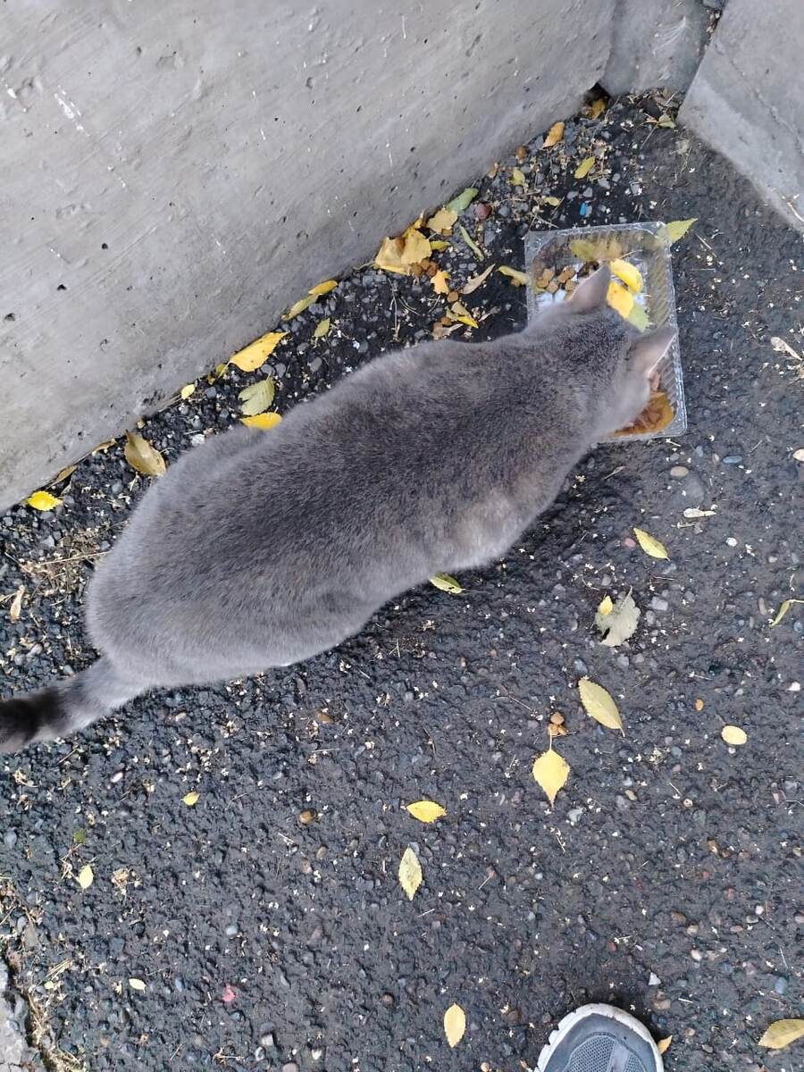 Семён.  Пока был на улице.