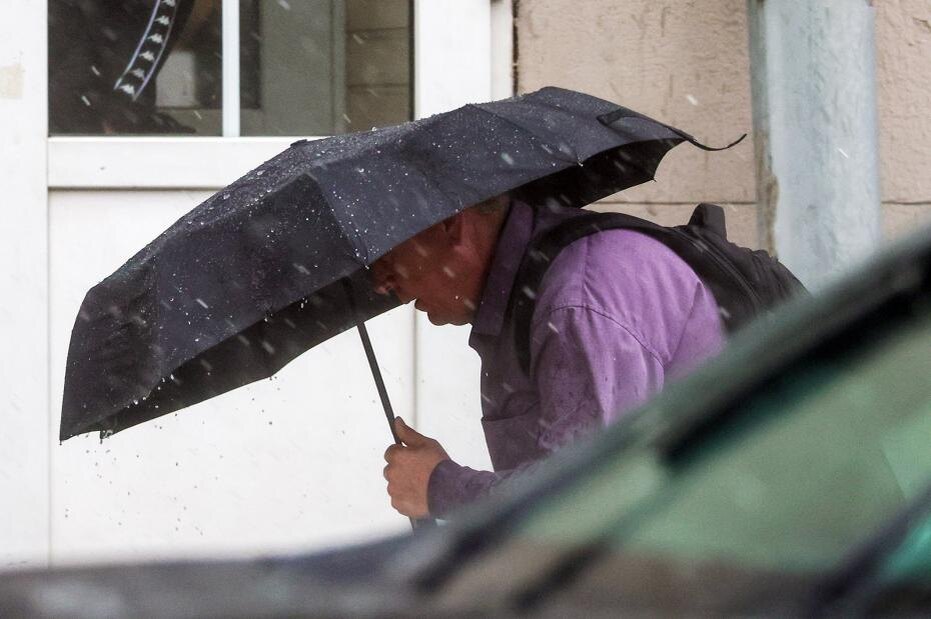    Наталья Шатохина/NEWS.ru