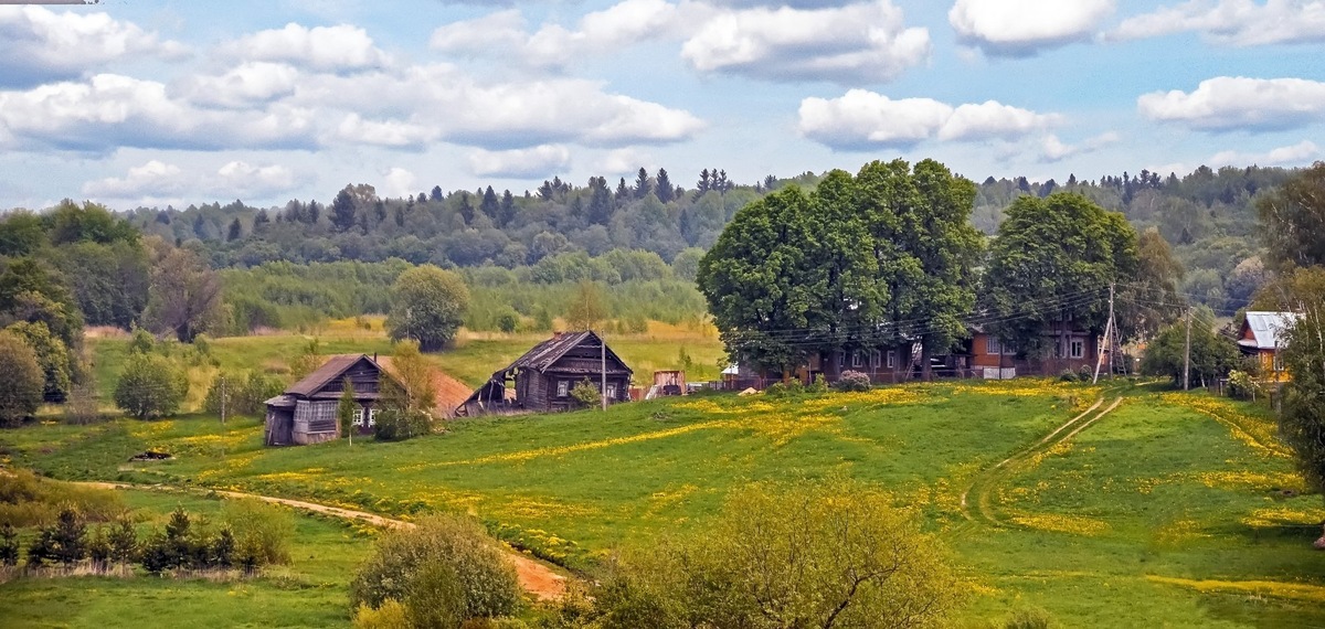 Яндекс.Картинки