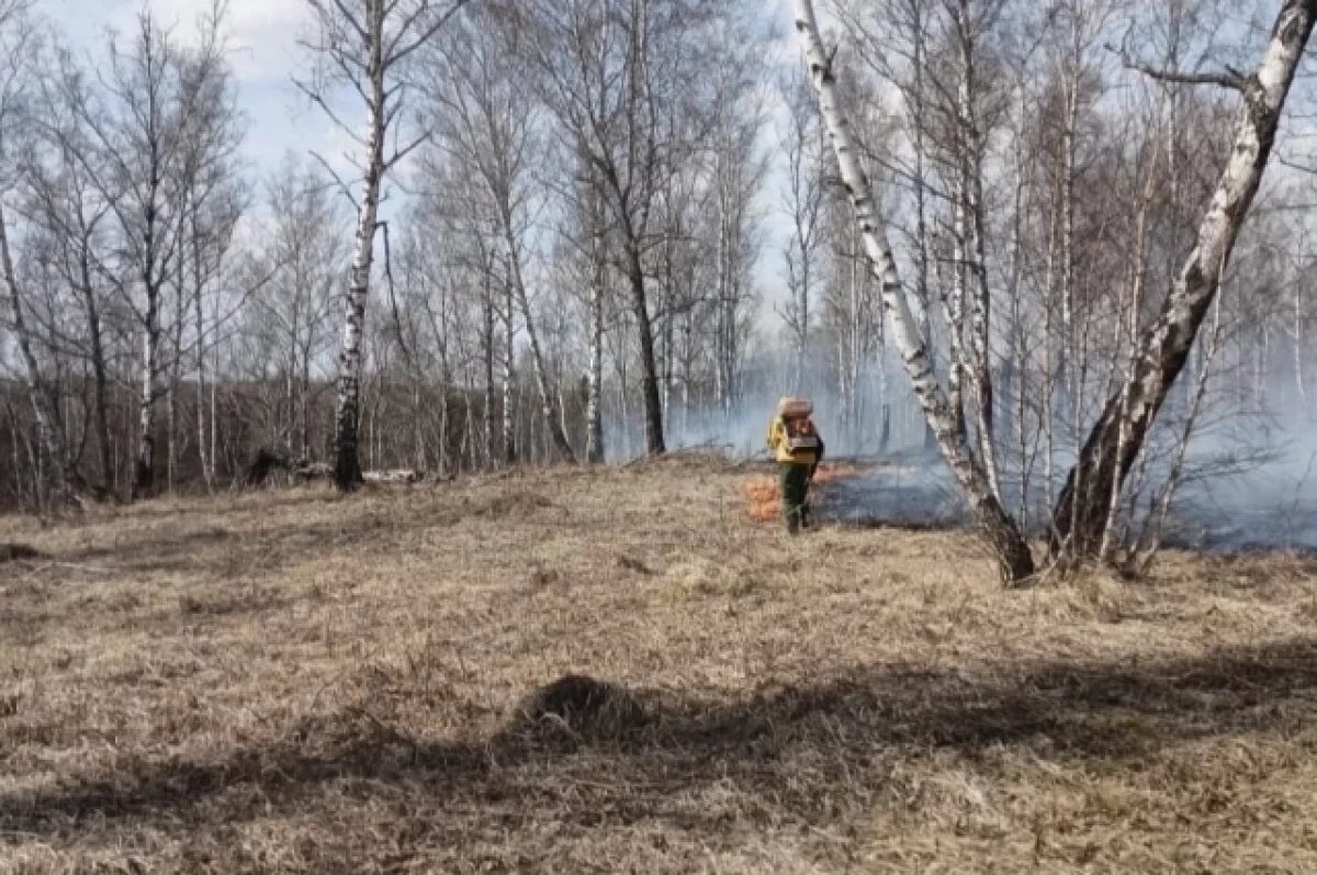    В Красноярском крае с 1 мая вводят запрет на посещение лесов