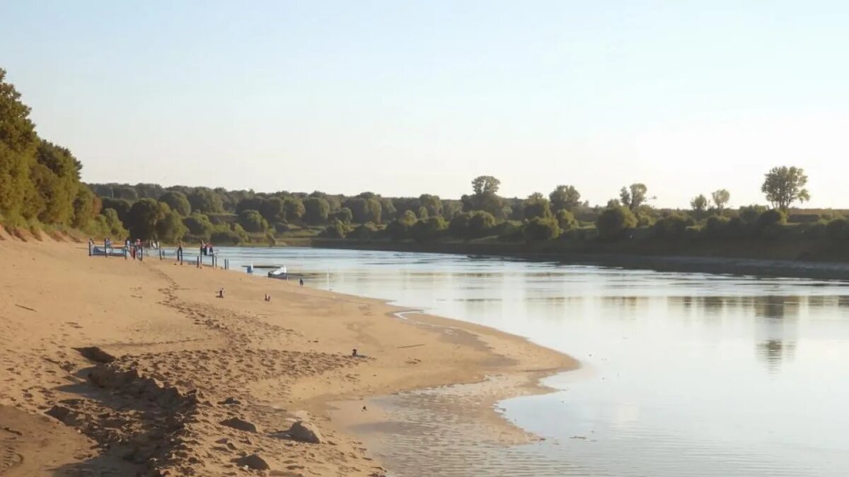    Сгенерировано ИИ