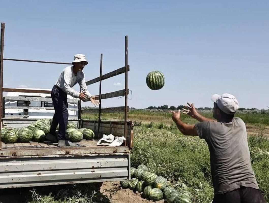 Фото: из архива КаспийИнфо.