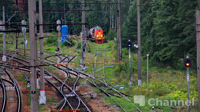 Фото: Анастасия Илюшина\47channel