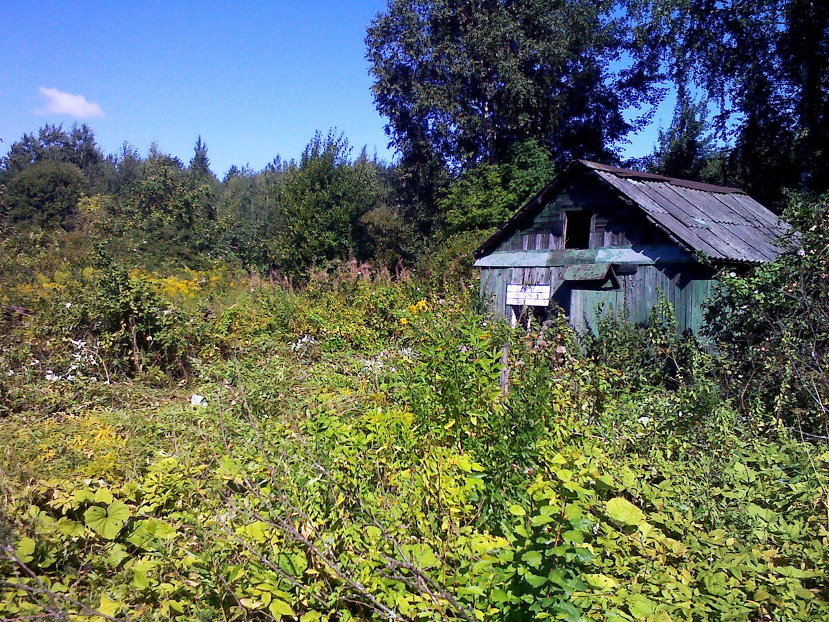 Так выглядел наш участок