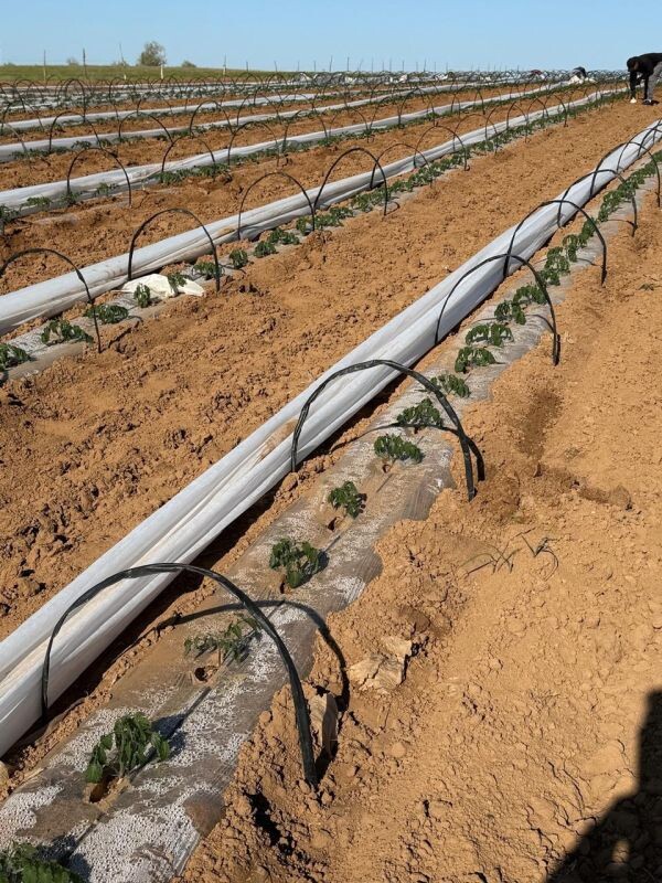 Фото: Администрация Енотаевского района