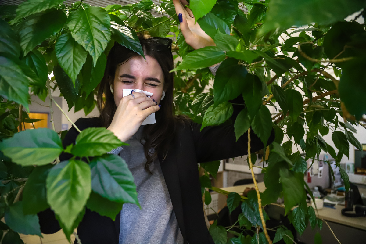 Фото: Краснодарские известия