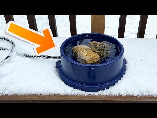 До чего только народ не додумается!