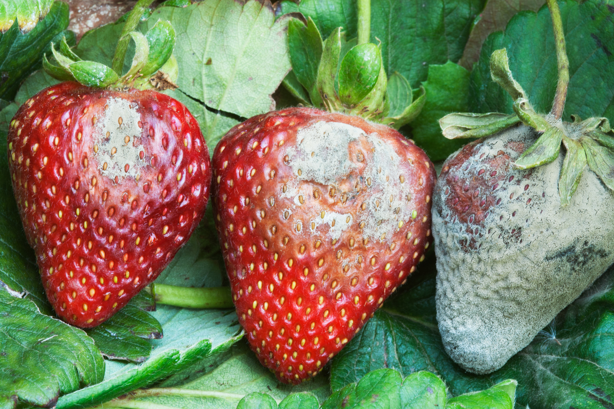 Источник: autosprite.ru