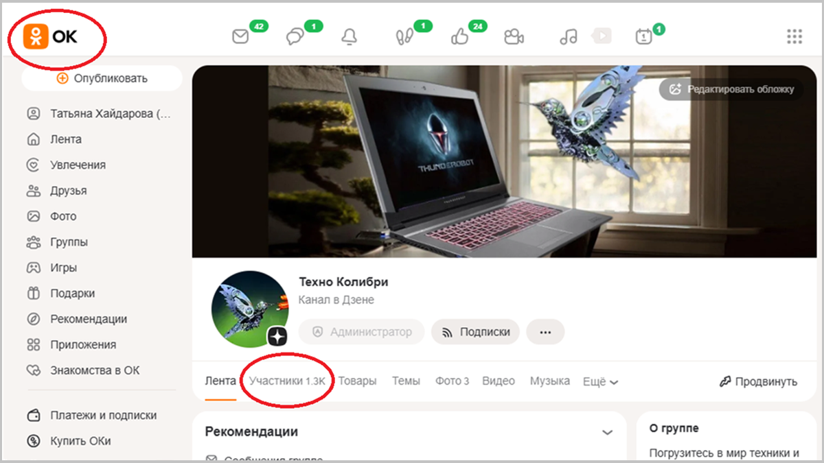 Вид моей группы «Техно Колибри» в «Одноклассниках», которую автоматически создал Дзен. Обратите внимание на количество подписчиков – их уже больше 1300 человек. Я в шоке!