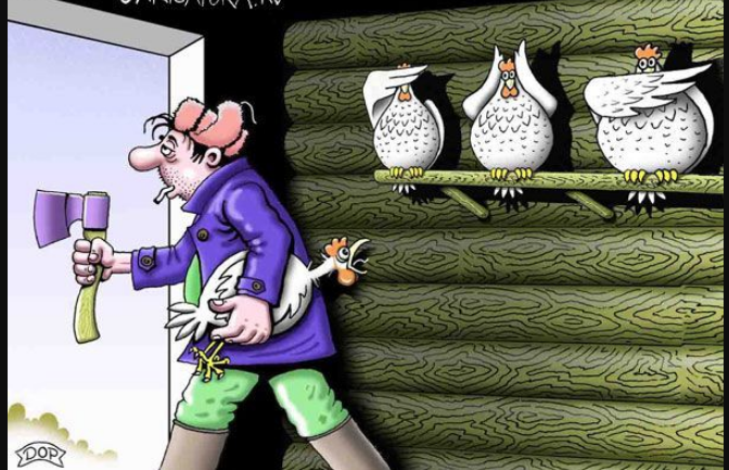 Источник Яндекс картинки