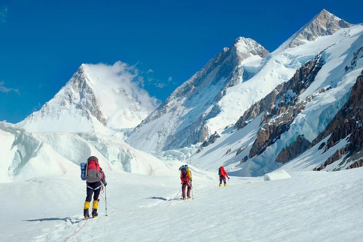    Фото: Vixit / Shutterstock.com