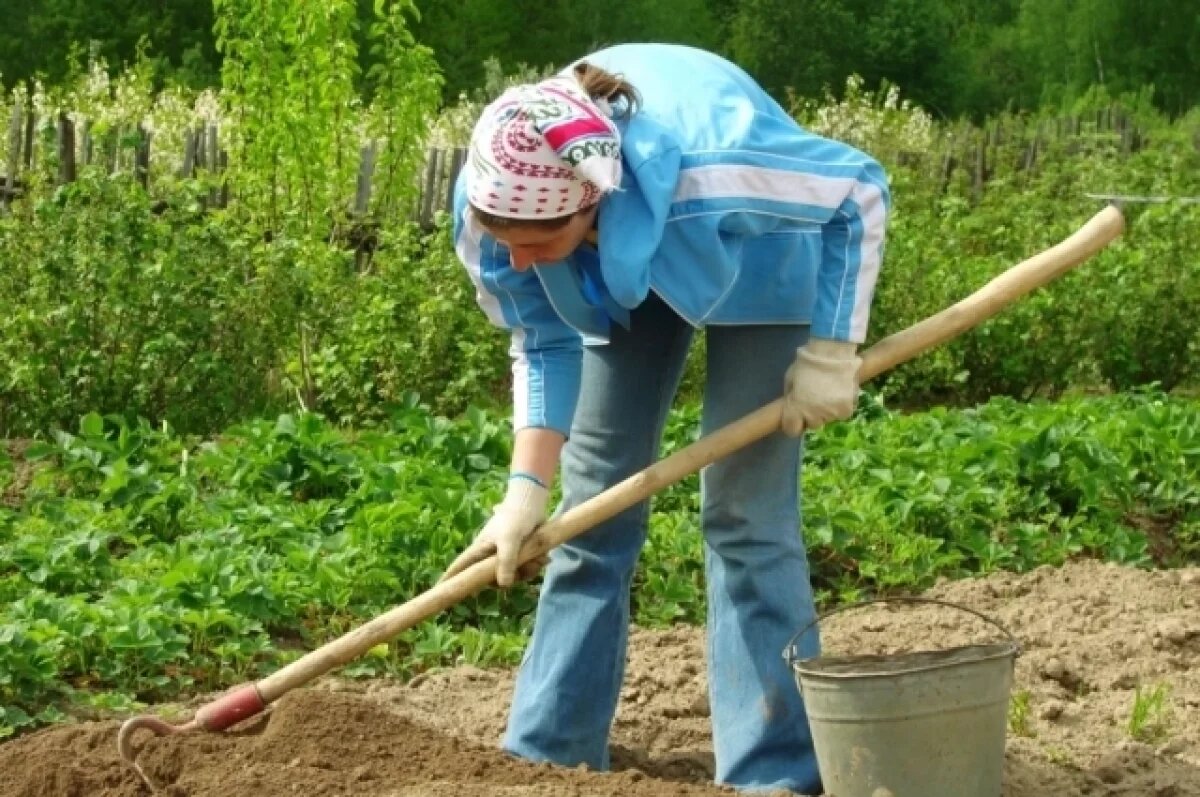    В Роспотребнадзоре рассказали, как правильно начать дачный сезон