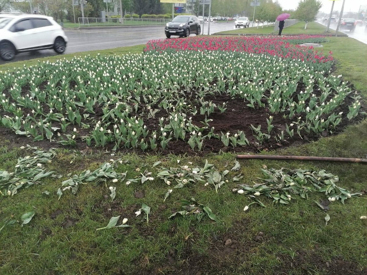    Фото: телеграм-канал пресс-службы мэрии Набережных Челнов