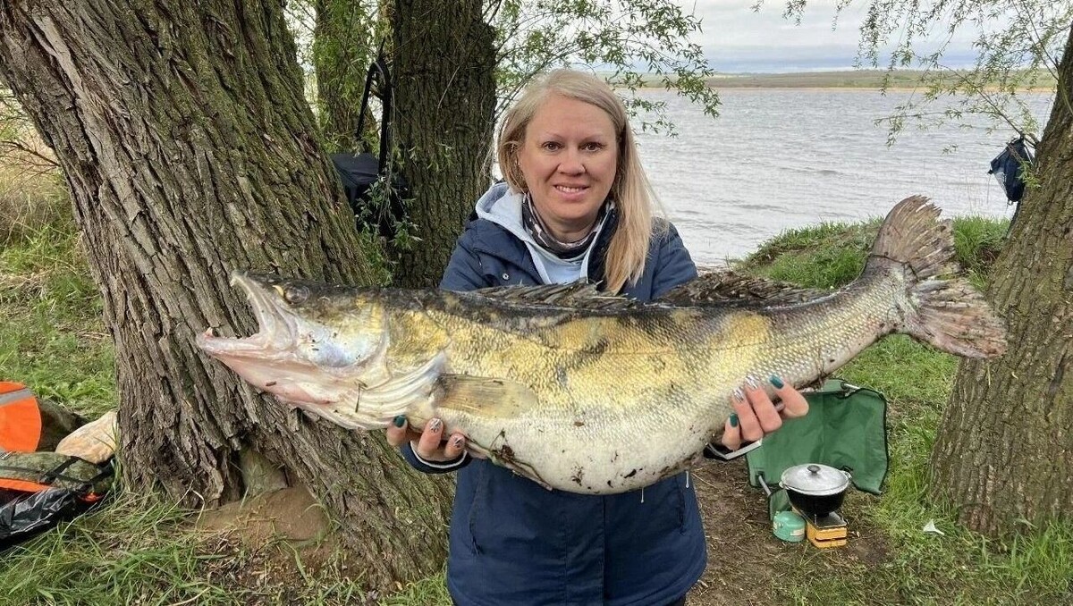     Источник: Ирина Нечитайло