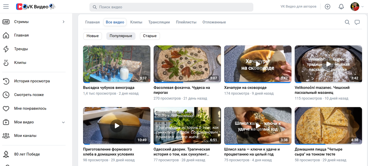 Скриншот автора из ВК-видео 