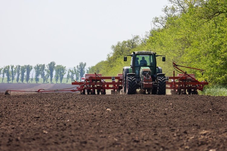    Яровой сев 2025 в Ростовской области миновал экватор