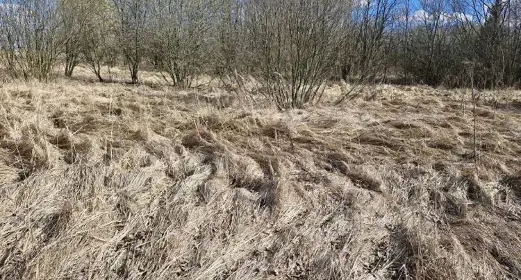    Участок на торгах в г.о. Ступино / Единый портал торгов Московской области ЕАСУЗ