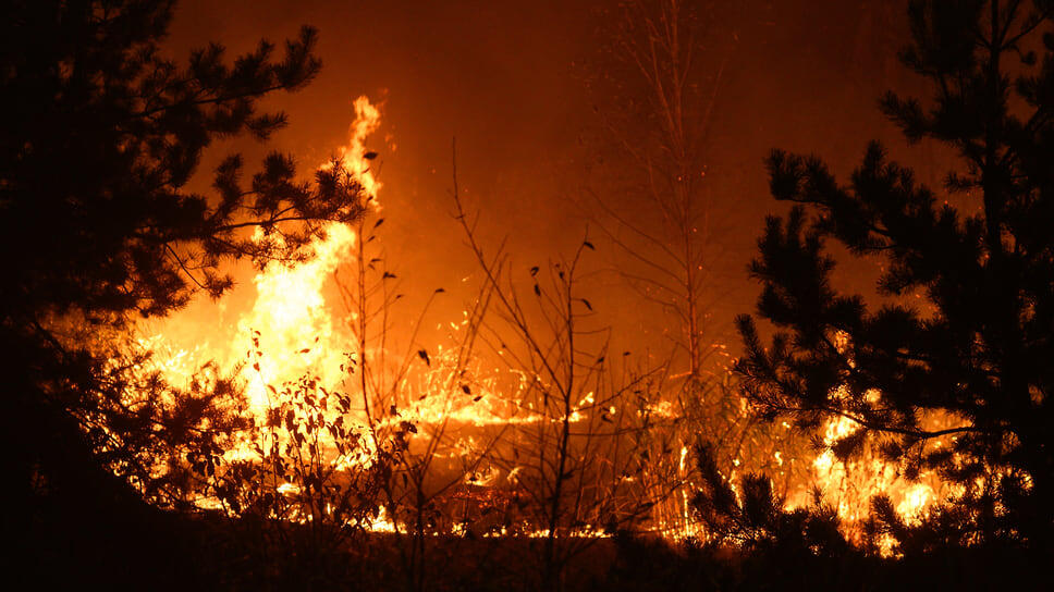 Фото: Олег Харсеев / Коммерсантъ