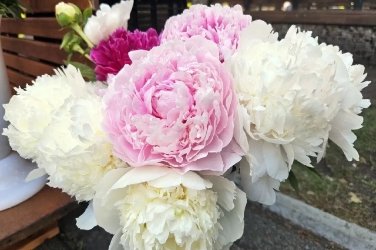    В Центральном районе Красноярска стартовал сезон продажи уличных цветов