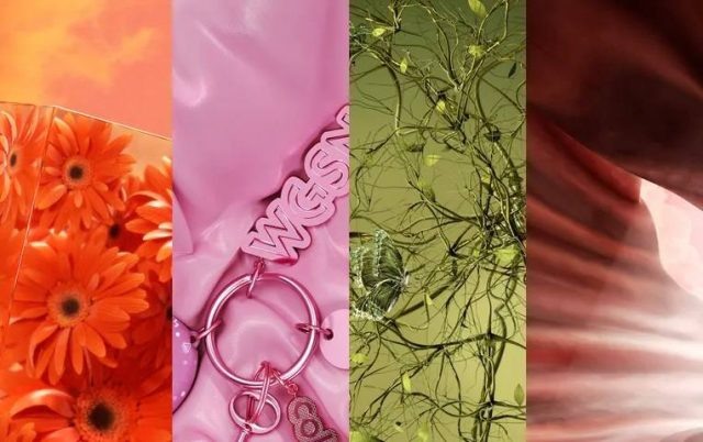    Фото: сайт WGSN