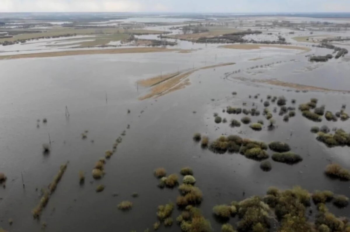    В пяти населенных пунктах Тюменской области вводят режим ЧС