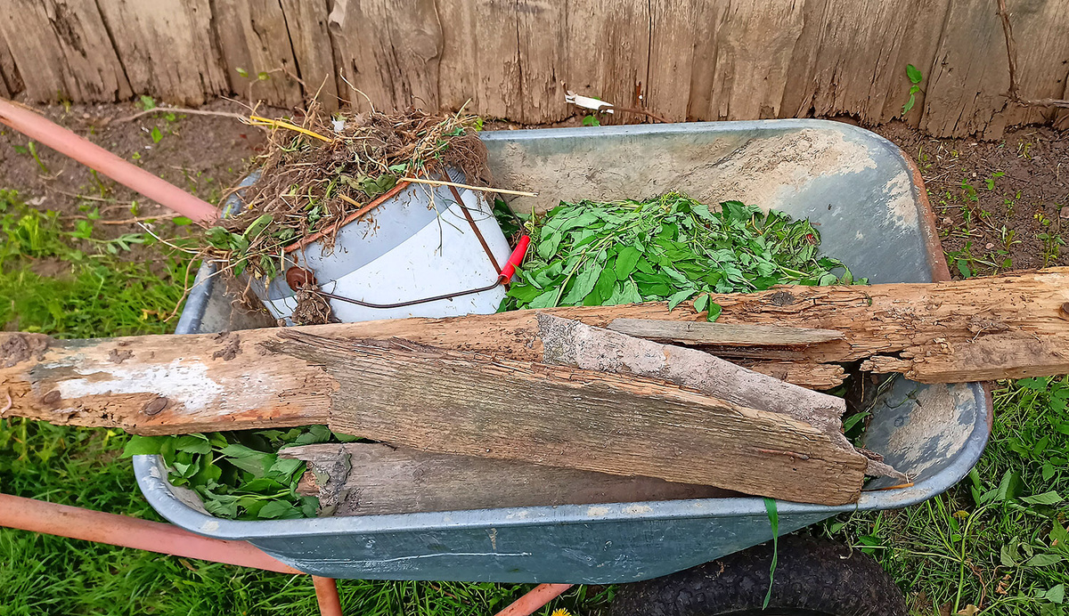 Фото автора: почесала спинку винограднику и надрала тачку сорняков и прочего мусора.